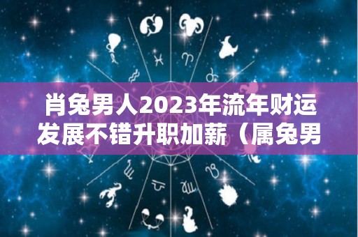 肖兔男人2023年流年财运发展不错升职加薪（属兔男2023）