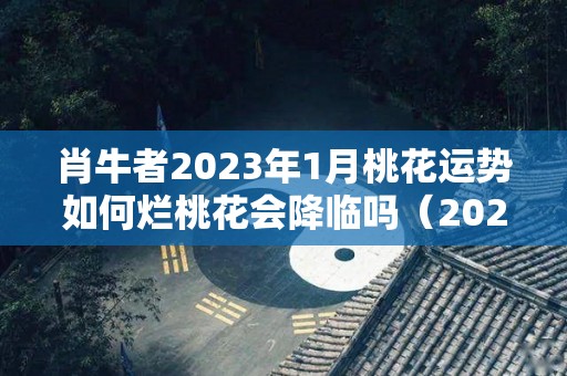 肖牛者2023年1月桃花运势如何烂桃花会降临吗（2021年属牛的桃花运在哪月）