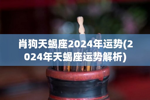 肖狗天蝎座2024年运势(2024年天蝎座运势解析)