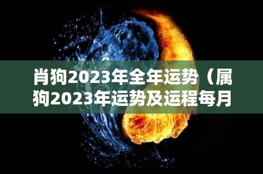 肖狗2023年全年运势（属狗2023年运势及运程每月运程狗）