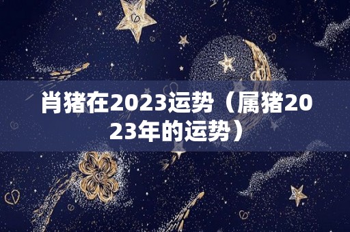 肖猪在2023运势（属猪2023年的运势）