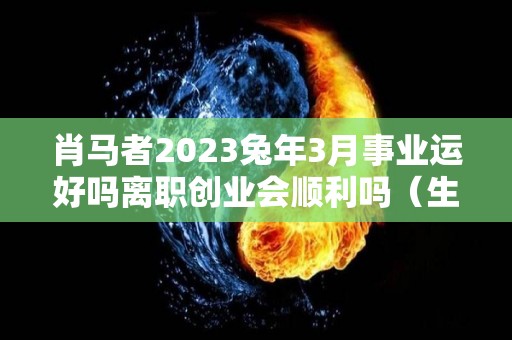 肖马者2023兔年3月事业运好吗离职创业会顺利吗（生肖马2023年运势及运程每月）