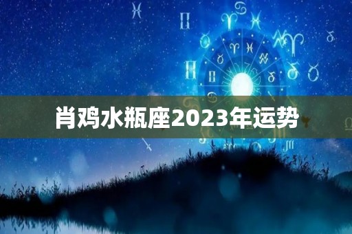 肖鸡水瓶座2023年运势