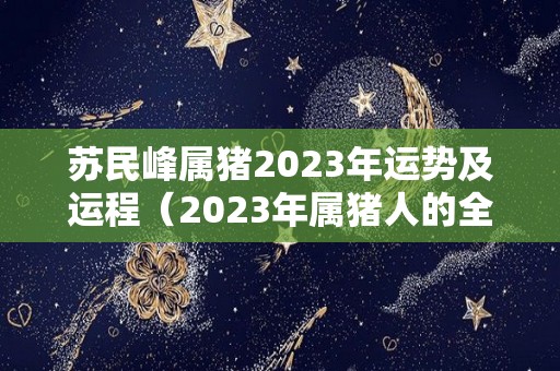 苏民峰属猪2023年运势及运程（2023年属猪人的全年运势）