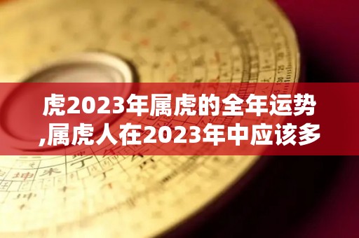 虎2023年属虎的全年运势,属虎人在2023年中应该多注意哪些方面呢？