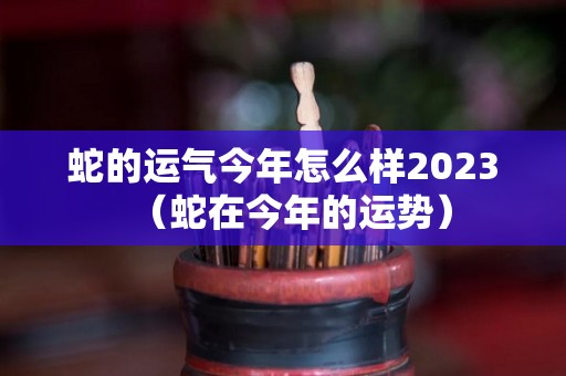 蛇的运气今年怎么样2023（蛇在今年的运势）