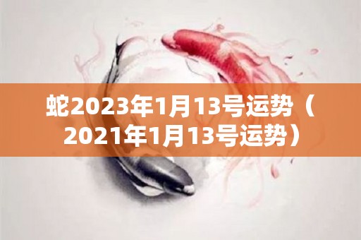 蛇2023年1月13号运势（2021年1月13号运势）