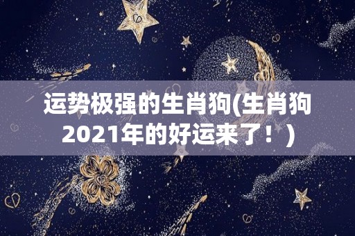 运势极强的生肖狗(生肖狗2021年的好运来了！)