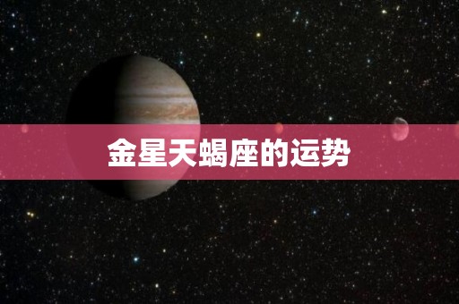 金星天蝎座的运势