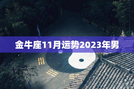 金牛座11月运势2023年男