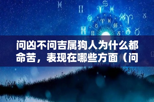 问凶不问吉属狗人为什么都命苦，表现在哪些方面（问狗我今年旺不旺的文案）