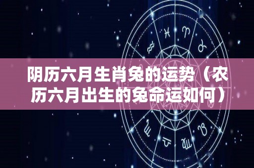 阴历六月生肖兔的运势（农历六月出生的兔命运如何）