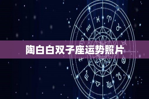 陶白白双子座运势照片