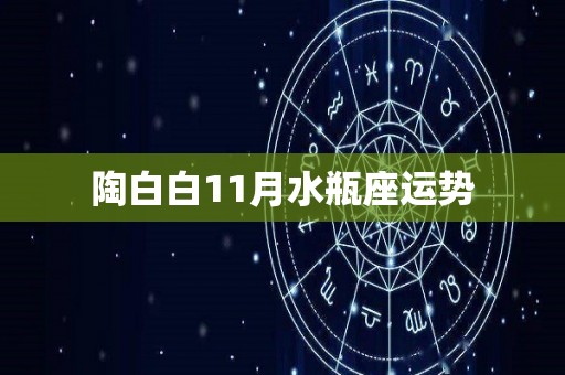 陶白白11月水瓶座运势