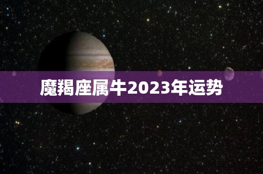 魔羯座属牛2023年运势