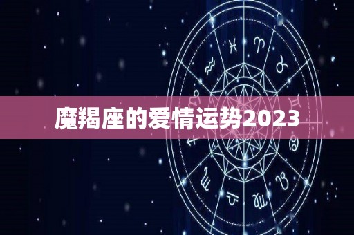 魔羯座的爱情运势2023