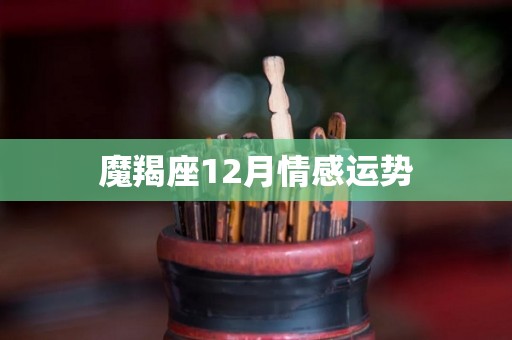 魔羯座12月情感运势