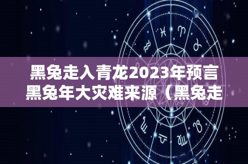 黑兔走入青龙2023年预言黑兔年大灾难来源（黑兔走入青龙2024年）