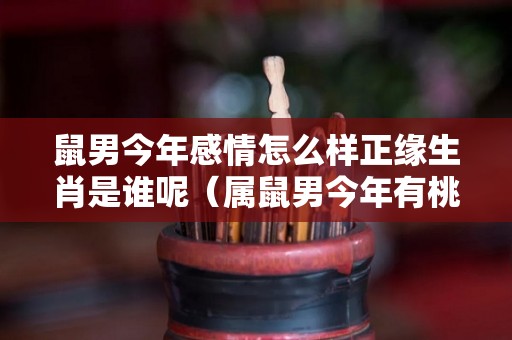 鼠男今年感情怎么样正缘生肖是谁呢（属鼠男今年有桃花运吗）