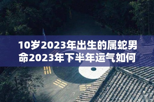 10岁2023年出生的属蛇男命2023年下半年运气如何运势详解（蛇年10岁是什么属相怎么算）