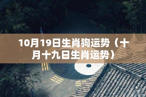 10月19日生肖狗运势（十月十九日生肖运势）