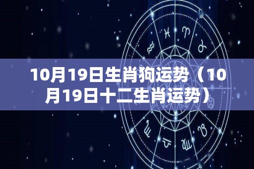 10月19日生肖狗运势（10月19日十二生肖运势）