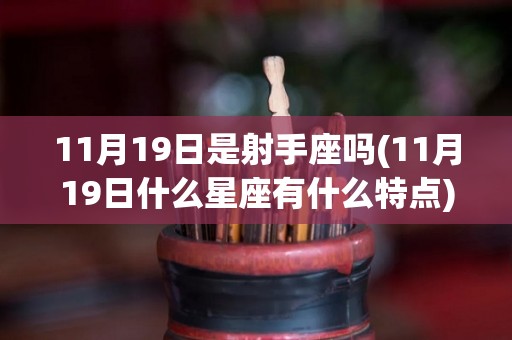 11月19日是射手座吗(11月19日什么星座有什么特点)