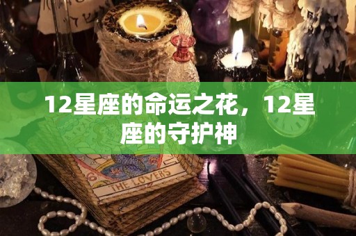 12星座的命运之花，12星座的守护神