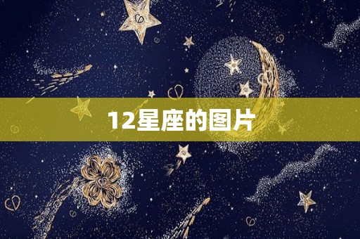 12星座的图片