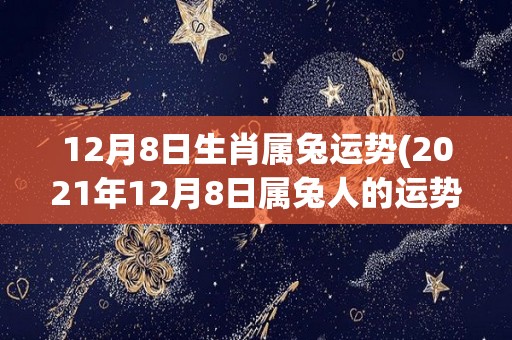 12月8日生肖属兔运势(2021年12月8日属兔人的运势分析)