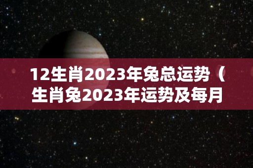 12生肖2023年兔总运势（生肖兔2023年运势及每月运势）