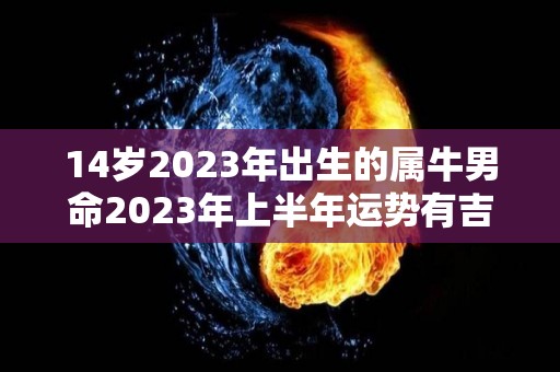 14岁2023年出生的属牛男命2023年上半年运势有吉星入命吗（2024年属牛的几岁）