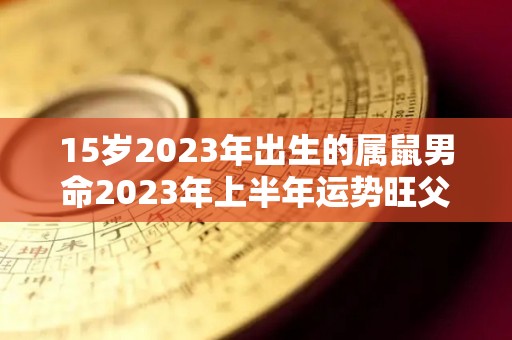 15岁2023年出生的属鼠男命2023年上半年运势旺父母财运（属鼠2023年多大）