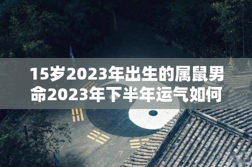 15岁2023年出生的属鼠男命2023年下半年运气如何运势详解（2023年属鼠男人的全年运势）