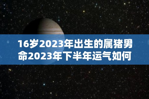 16岁2023年出生的属猪男命2023年下半年运气如何运势详解（2026年属猪人的全年运势男性）