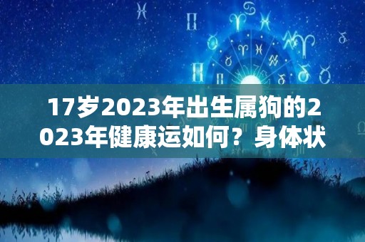 17岁2023年出生属狗的2023年健康运如何？身体状况整体不错（狗年出生的人2023年运程每月运势）