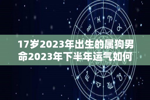 17岁2023年出生的属狗男命2023年下半年运气如何运势详解（2023属狗全年运势男）