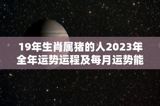 19年生肖属猪的人2023年全年运势运程及每月运势能否顺利呢（属猪2023年运势及运程 2023年属猪人的全年每月运势）