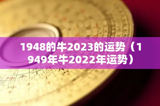 1948的牛2023的运势（1949年牛2022年运势）