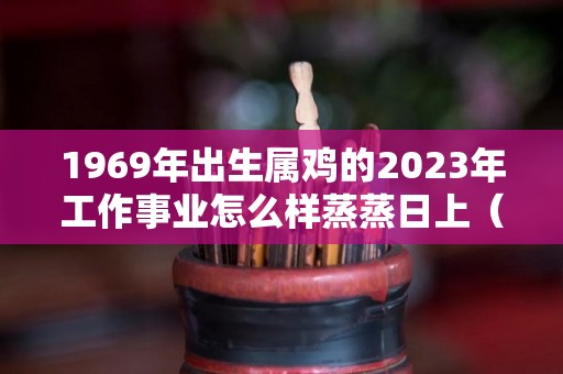 1969年出生属鸡的2023年工作事业怎么样蒸蒸日上（1969年属鸡2023年全年运势）