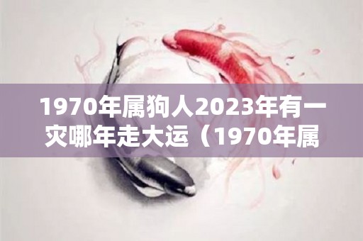 1970年属狗人2023年有一灾哪年走大运（1970年属狗的在2023年好不好）