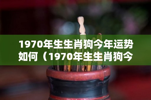 1970年生生肖狗今年运势如何（1970年生生肖狗今年运势如何）