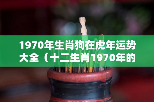 1970年生肖狗在虎年运势大全（十二生肖1970年的狗今年运年）