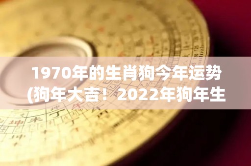 1970年的生肖狗今年运势(狗年大吉！2022年狗年生肖者的运势分析)