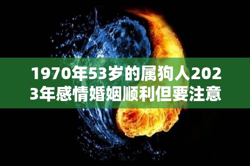 1970年53岁的属狗人2023年感情婚姻顺利但要注意这些问题（1970年狗2023年运势如何）