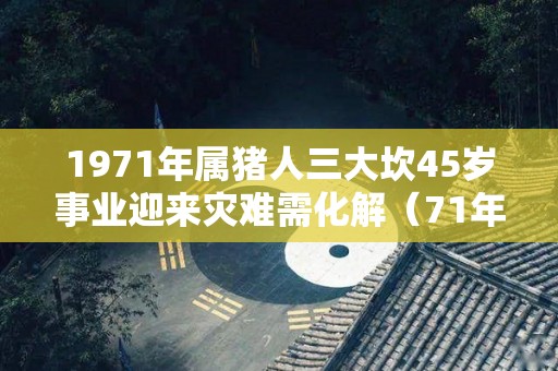 1971年属猪人三大坎45岁事业迎来灾难需化解（71年属猪的一生遇3道坎）