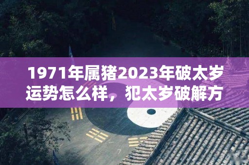 1971年属猪2023年破太岁运势怎么样，犯太岁破解方法（1971年属猪人的全年运势）