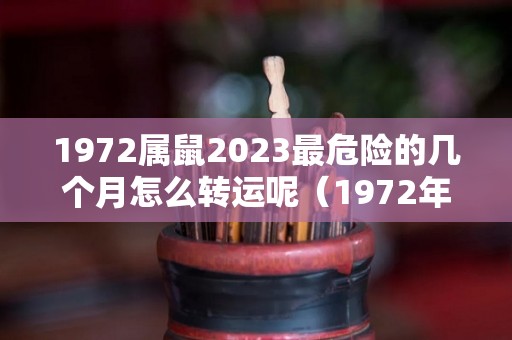 1972属鼠2023最危险的几个月怎么转运呢（1972年属鼠人在2023年怎么样）