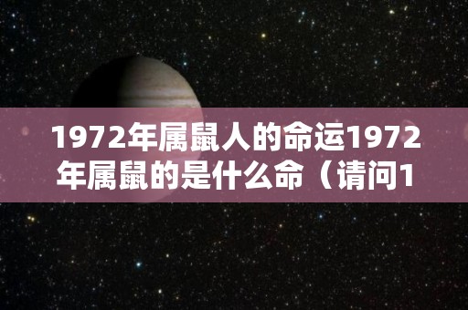 1972年属鼠人的命运1972年属鼠的是什么命（请问1972年属鼠的是什么命）