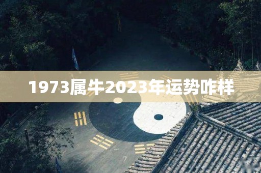 1973属牛2023年运势咋样